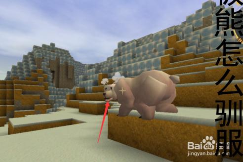  我的世界北极熊驯服攻略：详细教你如何在游戏中驯服北极熊